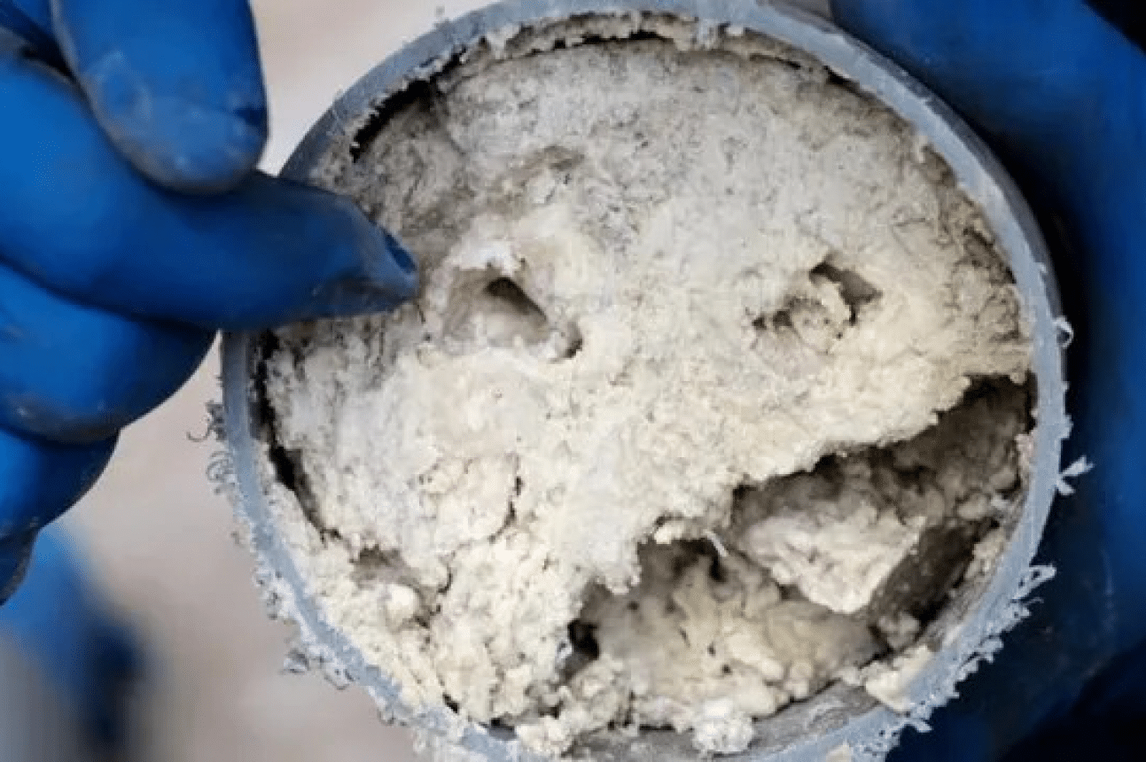 Fettleitung reinigen Berlin